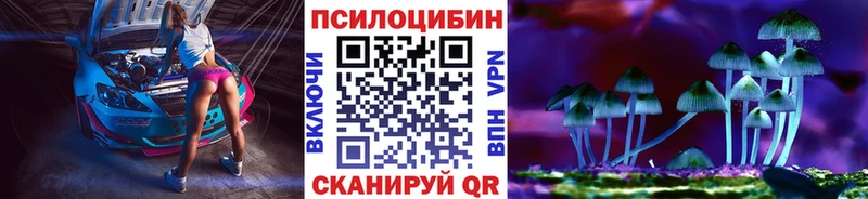 mega как войти  Полярные Зори  Псилоцибиновые грибы Psilocybe 